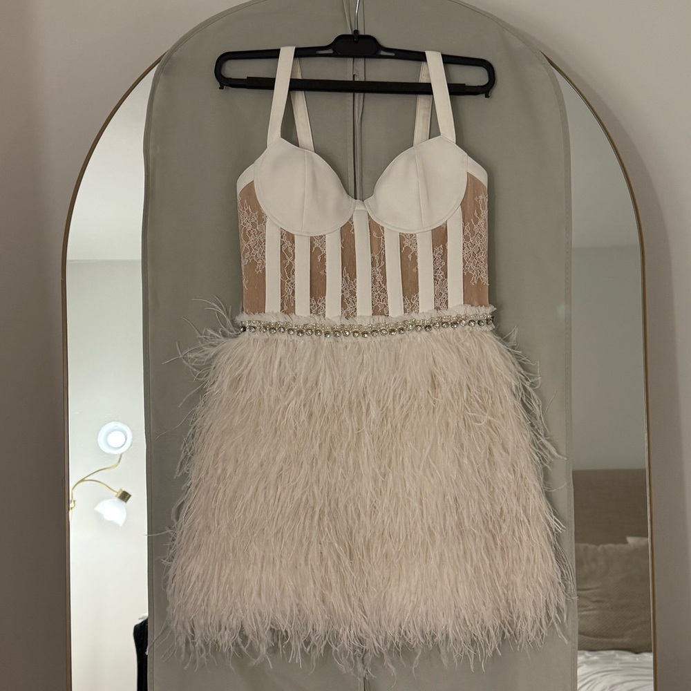 NEVER WORN Alicia & Olivia Shia Sheer Bustier Feather Dress - Picture 4 of 8